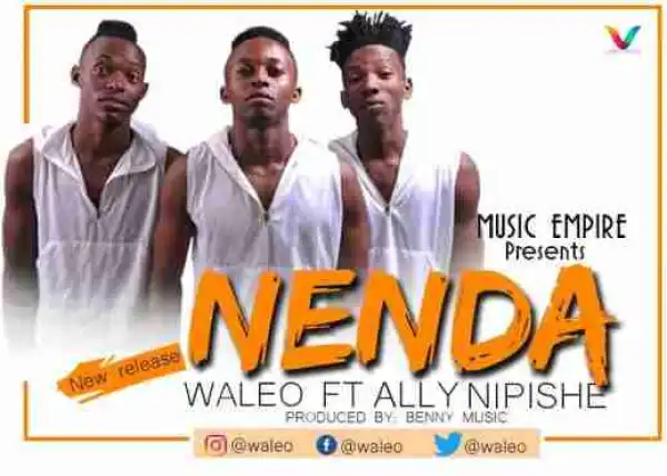 Waleo - Nenda Ft Ally Nipishe
